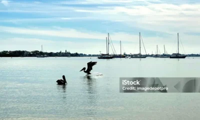 pelican leisure sports